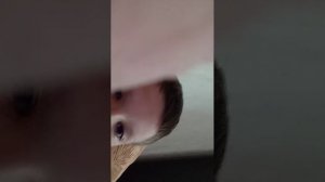 геометри деш