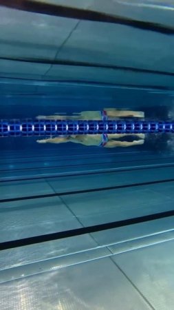 Как выглядит кроль «наоборот» - показываем наглядно на видео 🏊🏼♂️