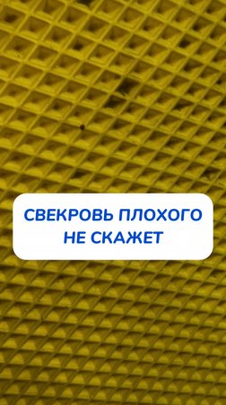 Чистота
