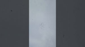 14.07.2025.вечерняя тренировка молодых ленинаканцев