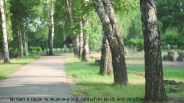 Кадры, снятые наномикроскопом - увидите невидимое! - Reflections -- Scott Holmes Music -- Indie-Pop