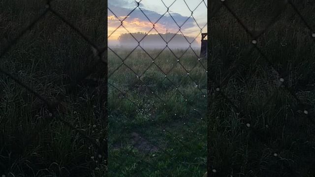 Июльская паутинка