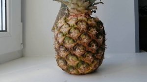 Как правильно хранить ананас в холодильнике