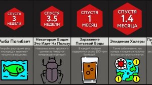 Если Запретят Смыв (1)