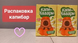 Распаковка капибар