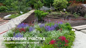 Озеленение участка: создание розария на склоне