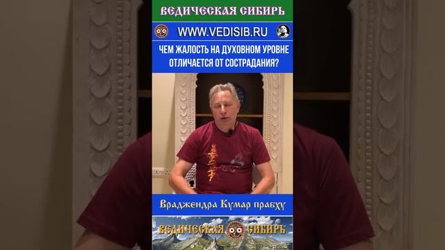 Чем Жалость на духовном уровне отличается от Сострадания?