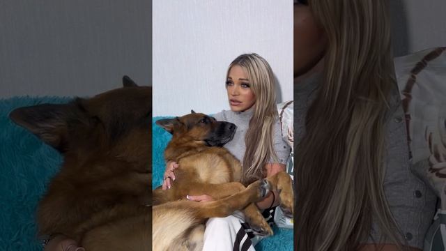 Карточка видео
