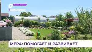 Жительницы Вольно-Надеждинского развивает тепличное хозяйство благодаря соцконтракту