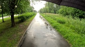 Утренний дождь