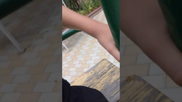 путешествие по камышину 2 часть