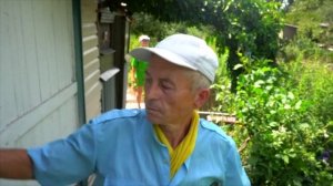 Дачный сезон в разгаре