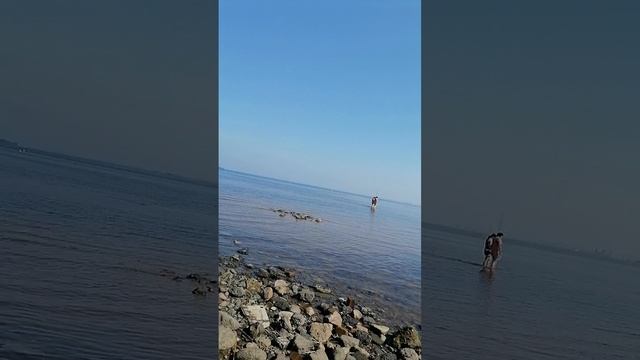 Финский залив
