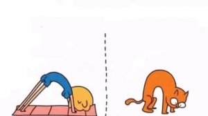 О девушках и кошках
