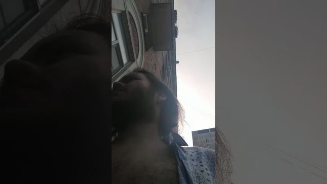 Мы идём гулять с собакой! | 14-июл-2025