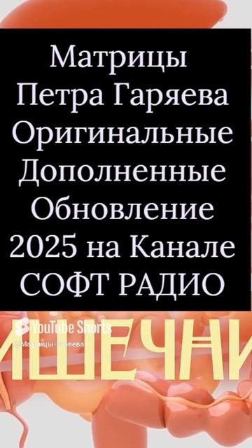 МАТРИЦЫ Гаряева_ 2025-Архив для скачивания для Вас _ Пётр Петрович Гаряев Оригинальные матрицы смотреть онлайн