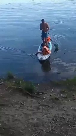 Из дальних странствий...