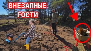 Май в деревне: как из зарослей получился огород #домзарекой
