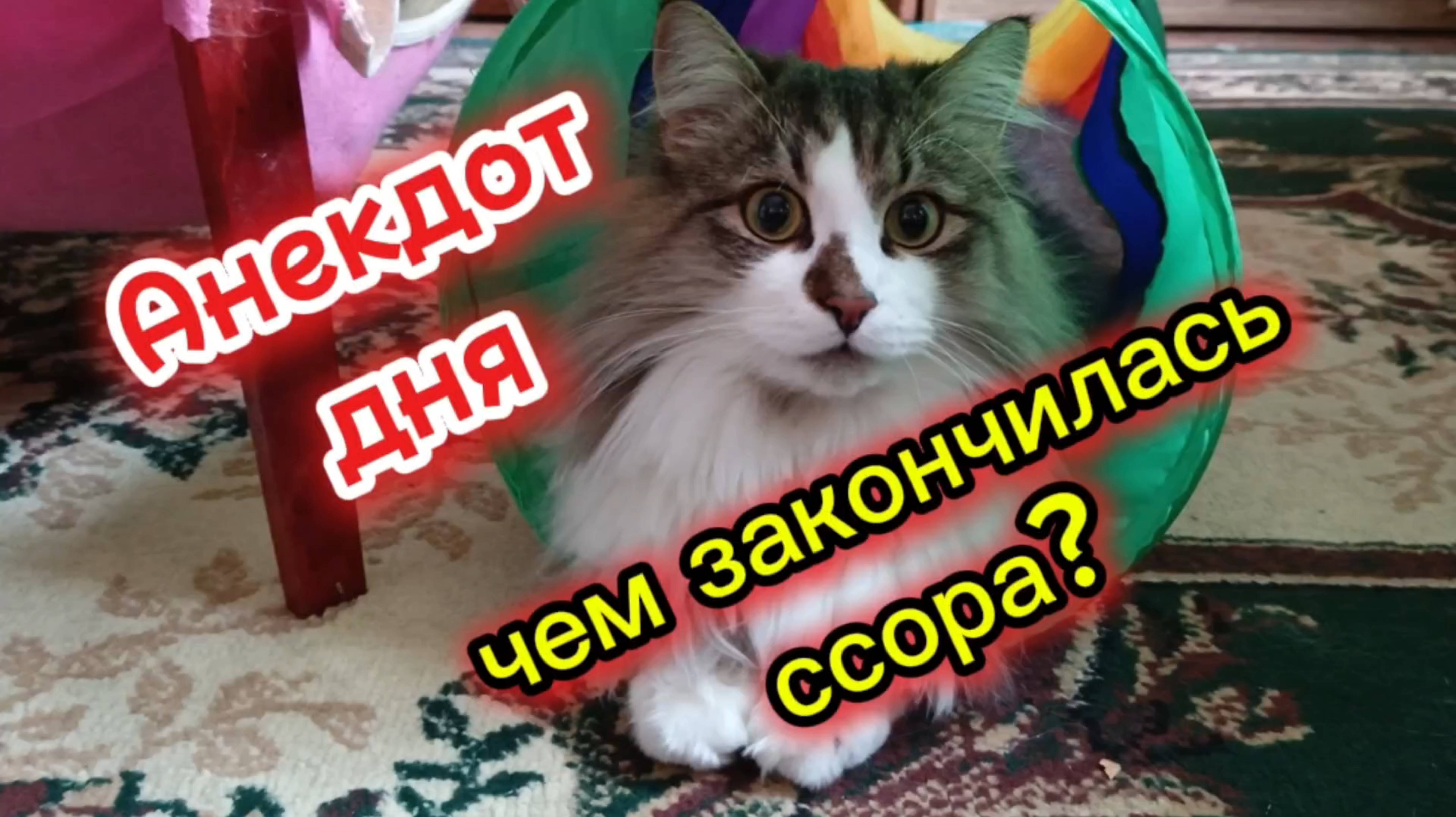 Анекдот дня. Чем закончилась ссора?