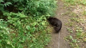 Прогулка на улице.