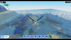 новый пингвин в SoF!🐧🌴 Feather family | Roblox