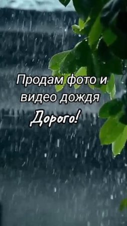 Продам фото и видео дождя. Дорого