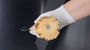 Нож из обсидиана с рукоятью из рога оленя 33 см