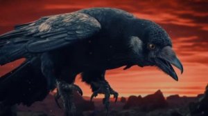 "Чёрный ворон" (Судьба) Слова Виктор (Добрый)