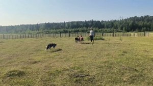 Бенефит элит Алтан, 10 месяцев