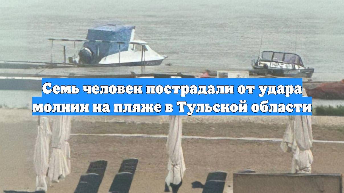 Семь человек пострадали от удара молнии на пляже в Тульской области