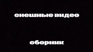 смешные видео, сборник