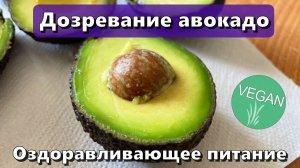 Дозревание авокадо — Оздоравливающее питание
