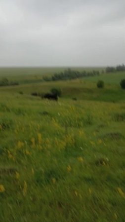 Дождливый день