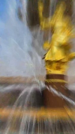 Городское озеленение