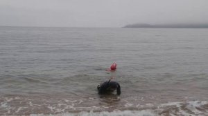 E74 День рыбака в бухте Джигит, Владивосток. Модифицированная уха из палтуса, кальмара, моллюсков ..