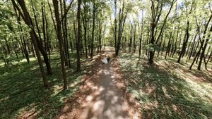 Н&Е Свадебный день