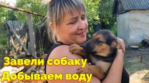 ДОБЫВАЕМ ВОДУ / ЗАВЕЛИ СОБАКУ (13 СЕРИЯ)