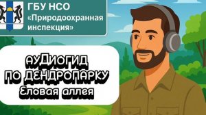 Еловая аллея (аудиогид по дендропарку от ГБУ НСО «Природоохранная инспекция»)