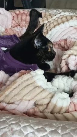 Тесто мнём,мнём,мнём.