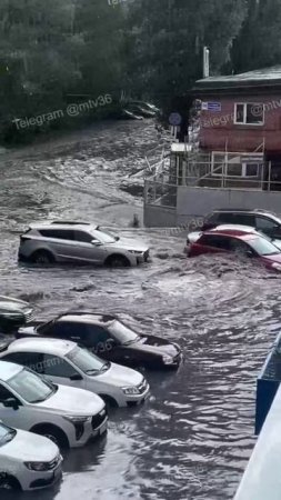 Жуткий поток воды на Пеше-Стрелецкой едва не смыл припаркованные автомобили! 😱