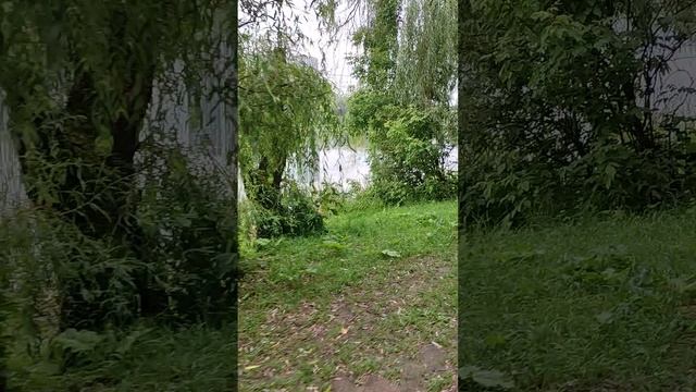 Парк. Велосипед. Пруды - 15.07.2025