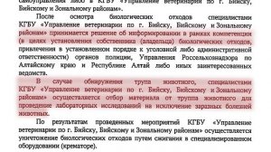 "Будни" (новости, 14.07.25г., Бийское телевидение)