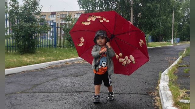 Зонт 25 июня 2025г.
