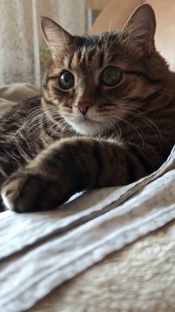 Жизнь как...🙀🫢🤔🤣