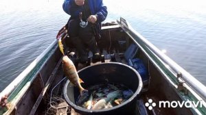 В гостях у Лешего