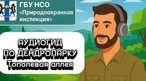 Тополевая аллея (аудиогид по дендропарку от ГБУ НСО «Природоохранная инспекция»)