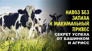 Революция в животноводстве реальные отзывы фермеров о биопрепаратах