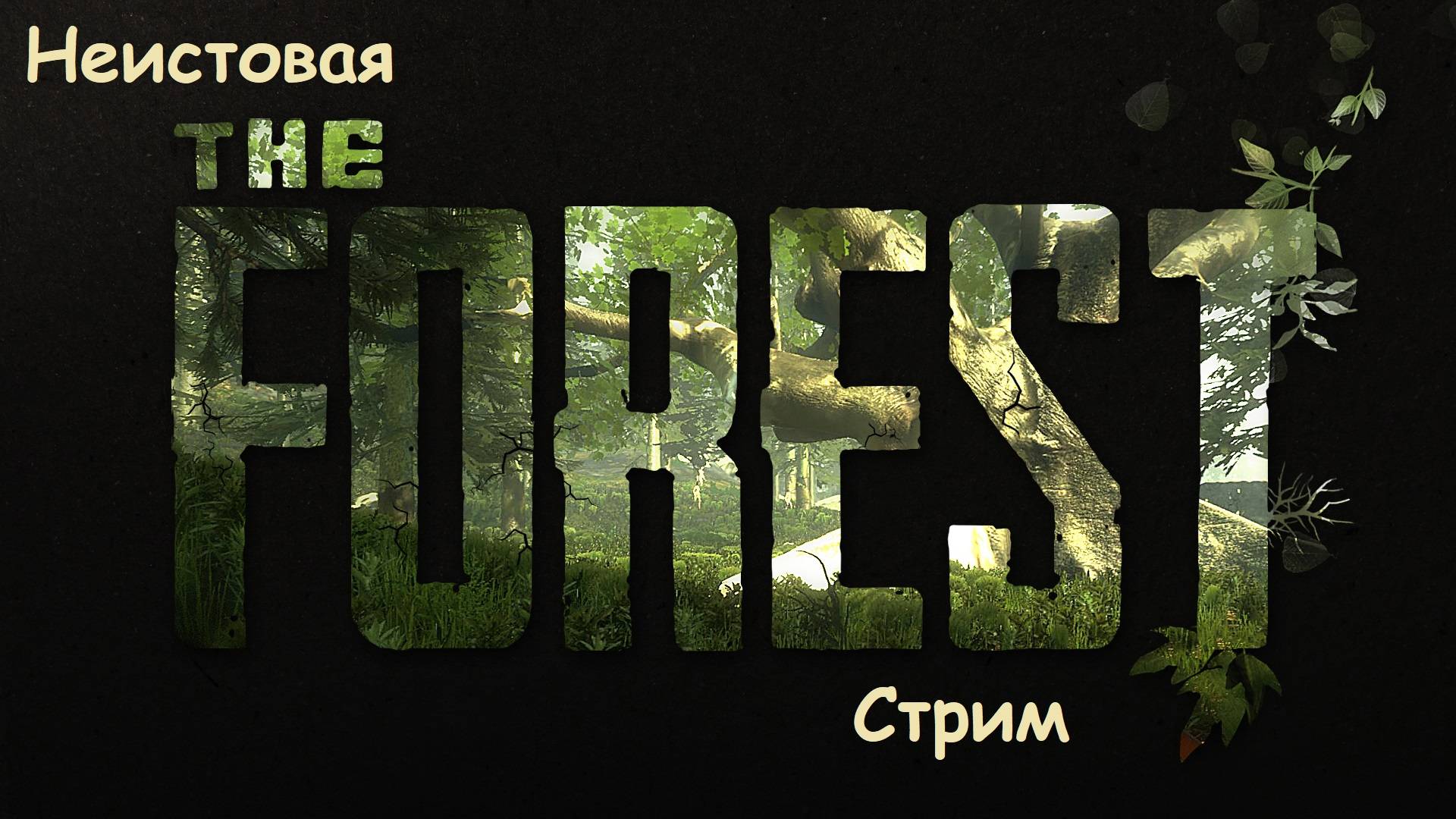 The Forest #4