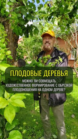 Можно ли совмещать художественное формирование с обрезкой плодоношения на одном дереве?