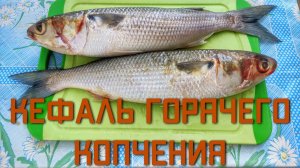 Как приготовить КЕФАЛЬ горячего копчения простой рецепт